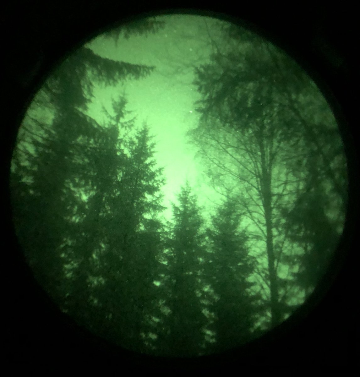 whæliin 🇺🇦 tweet media