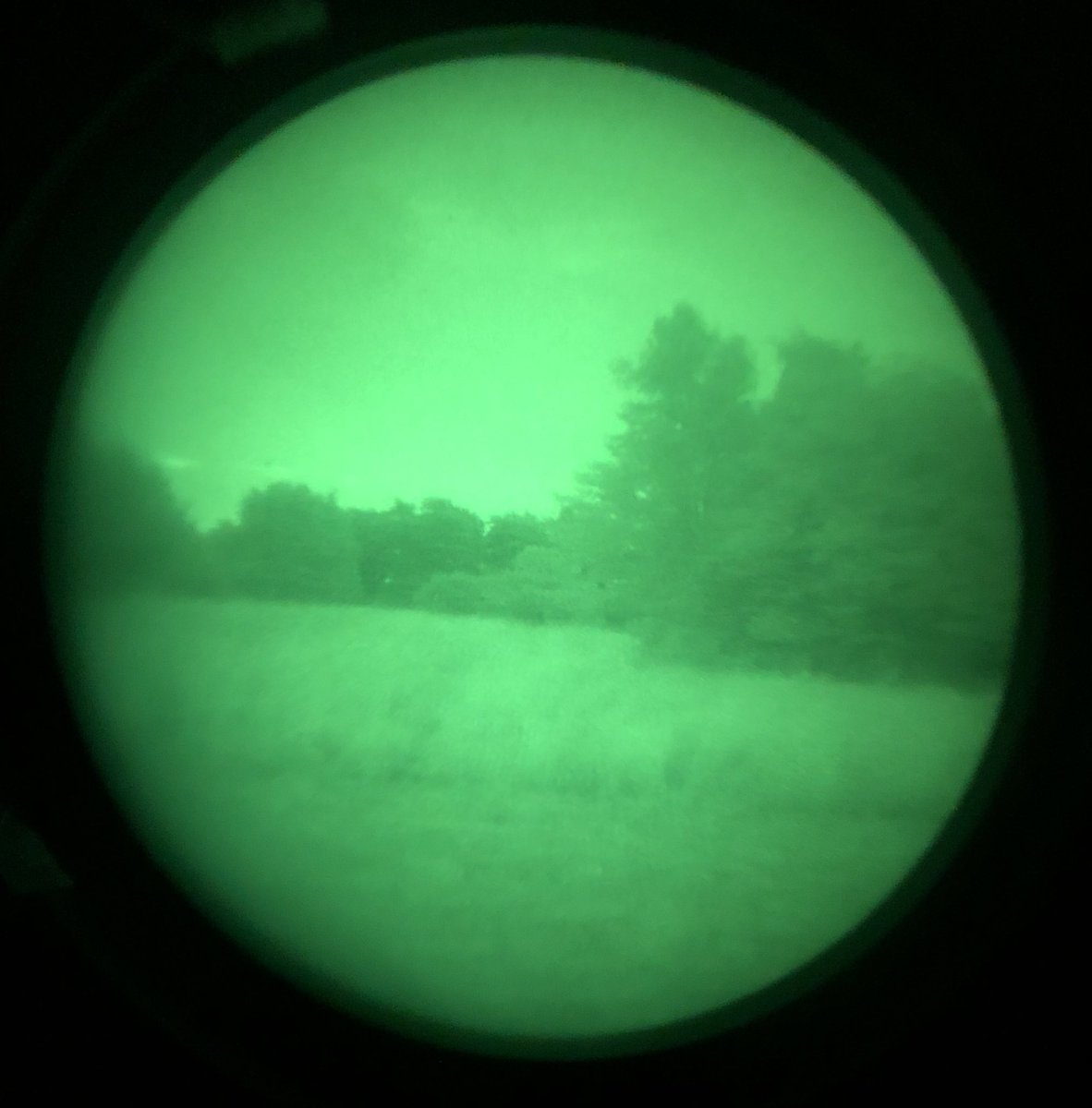 whæliin 🇺🇦 tweet media