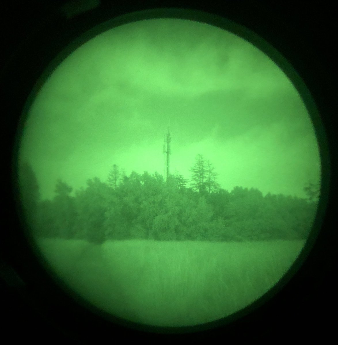 whæliin 🇺🇦 tweet media