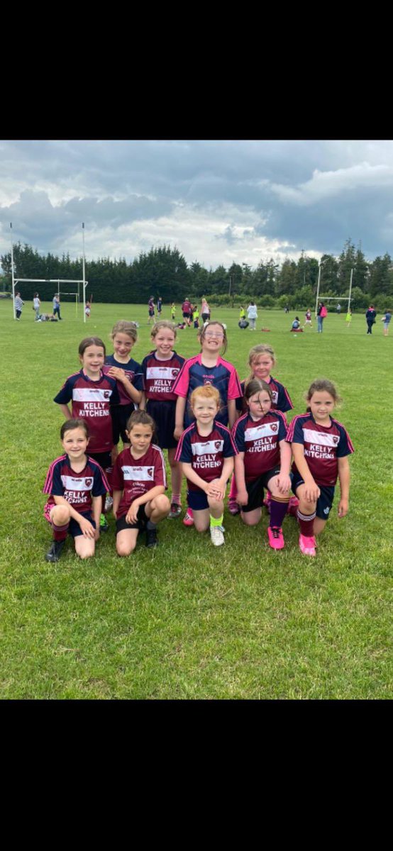 Leixlip GAA tweet media