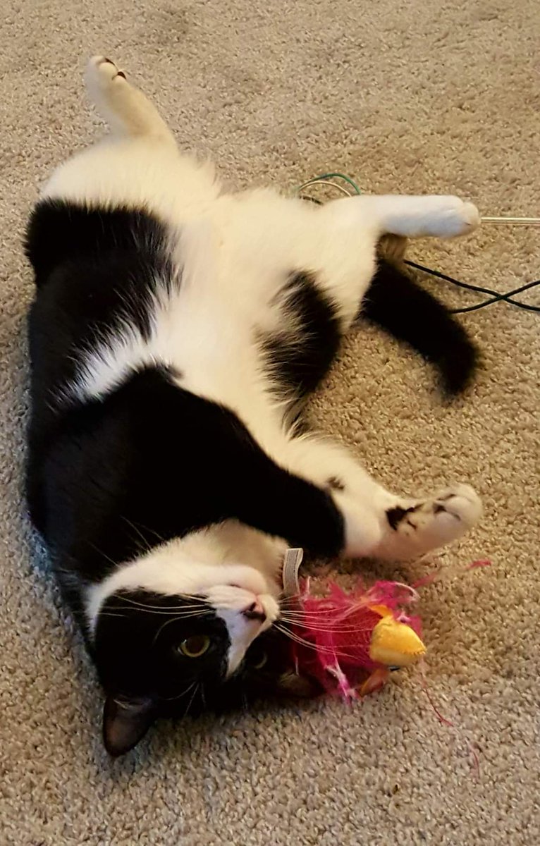 Mr. Marie ❣️ tweet media