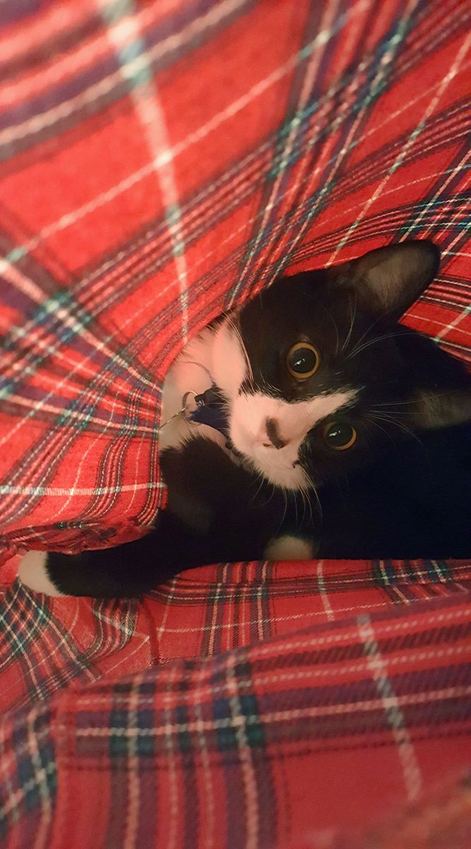 Mr. Marie ❣️ tweet media