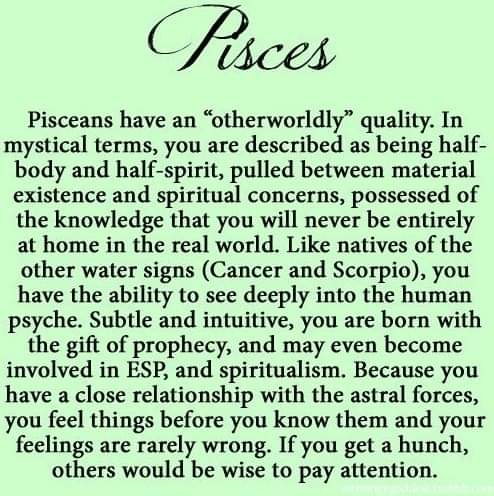 Melissa Tonseth (@albeyphoto) on Twitter photo 