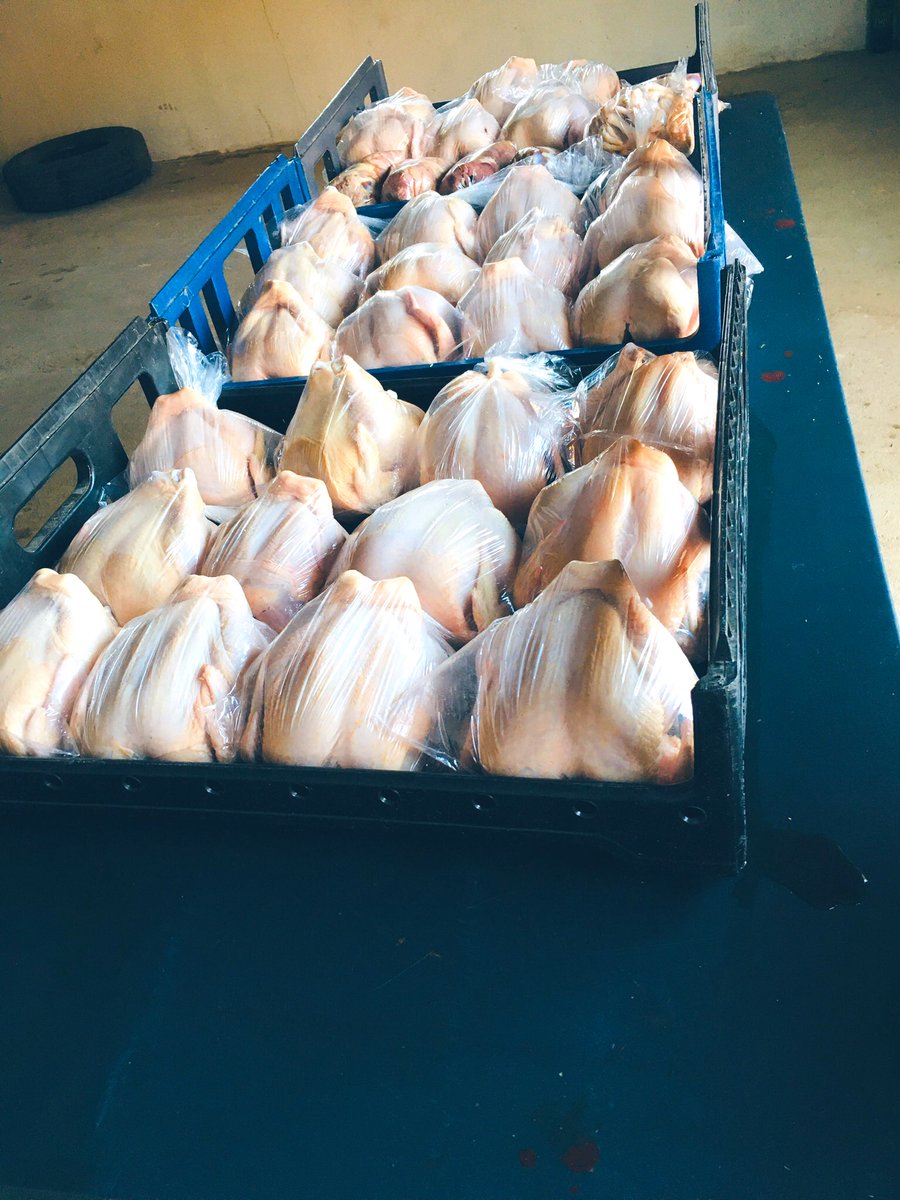 FarmerFrmNorth's tweet photo. Beke le beke, chickens are available at Nobody Thakgalang, call 0614070855 for orders https://t.co/Wk6tpff6wa