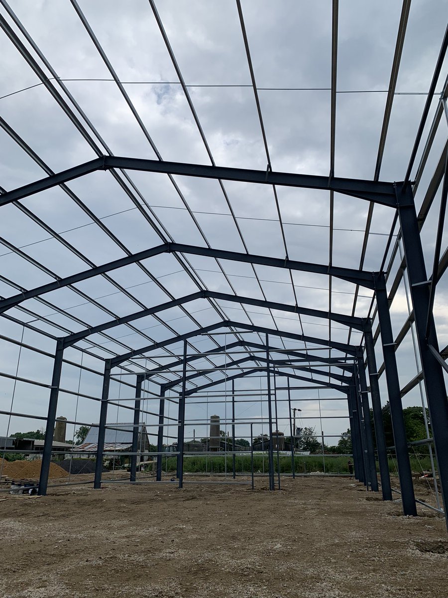 Our #supersagitta seed, will the shed be ready in time, probably…
Open day on 21st and 22nd, get in touch if you would like to come and have a walk through