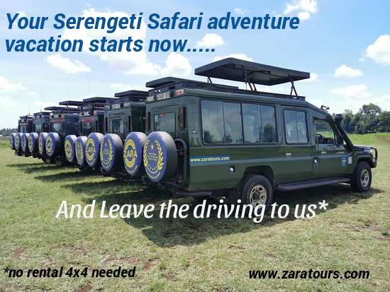 MaconDunnagan's tweet photo. have your #vacation #summervacations #familyvacation recently changed??Its time for #tanzania with @ZaraTours
(1) #tanzaniaunforgettable
https://t.co/FYTBtkTRVs
(5) #tanzanianationalparks
(6) #serengetinationalpark
(7) #serengetitour #serengetimigration #ngorongorocrater https://t.co/2EJHG86yN3