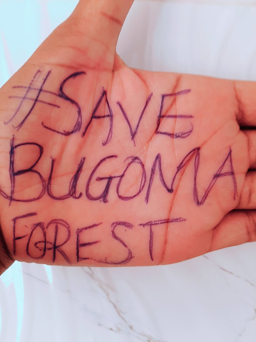 DH__Foundation's tweet photo. Act now #SaveBugomaForest let your voice be heard because we fight for a good course. Save Bugoma Forest, Save Uganda, Save Mother Earth. #climatechange #ClimateCrisis https://t.co/nkL4ZBMGJV