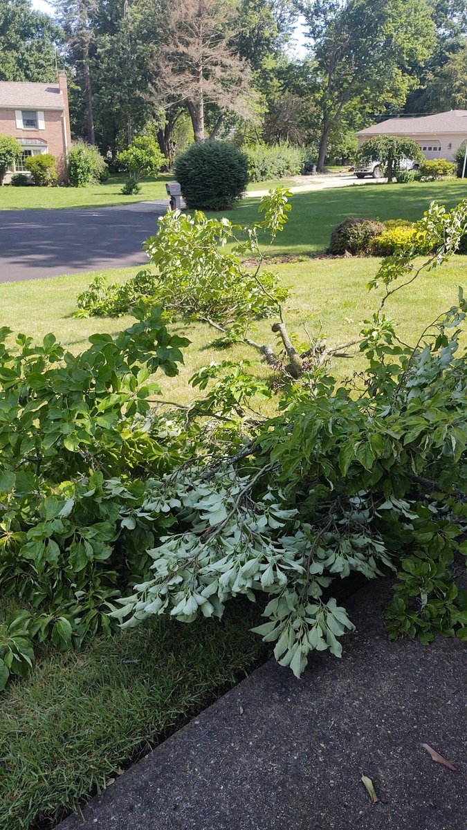 bogdog44's tweet image. False Alarm.... I continue to underestimate how much rage and brute Force I can bring to the table when needed even at my advanced age.

#GoingBackIn