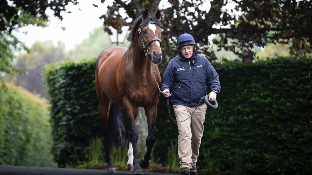 Galileo, the greatest.