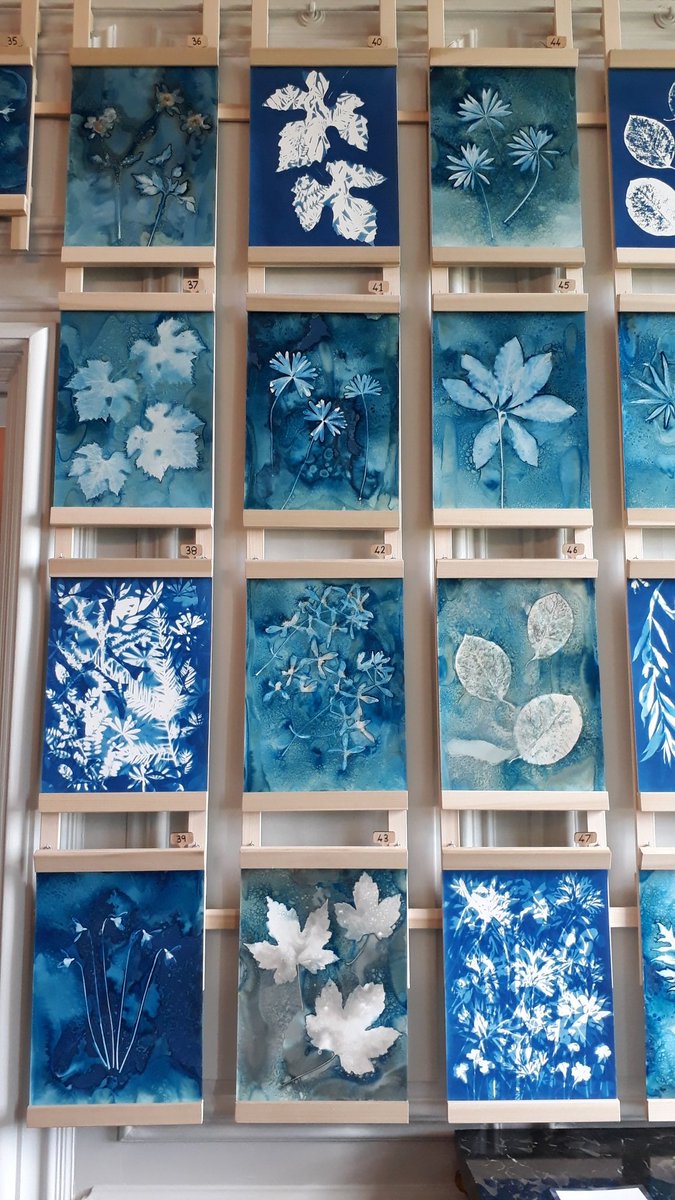 jillsett's tweet photo. Loved the exhibition of cyanotypes by Jill Welham at Burton Agnes Hall. Inspirational.
#cyanotypes #yorkshire #burtonagnesshall #exhibition #sunprints https://t.co/fG8WhE6h2t