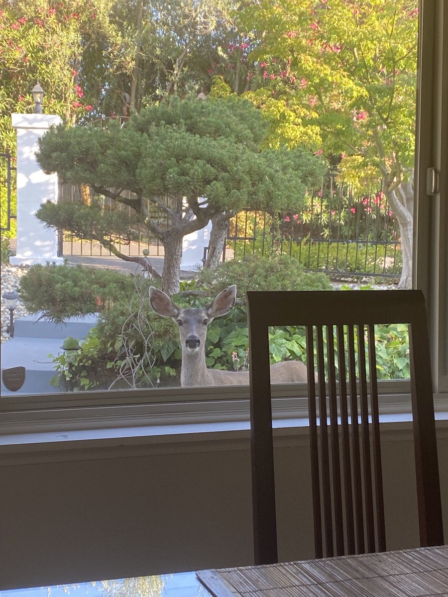 My wife caught a neighbor peeping through the window at her!