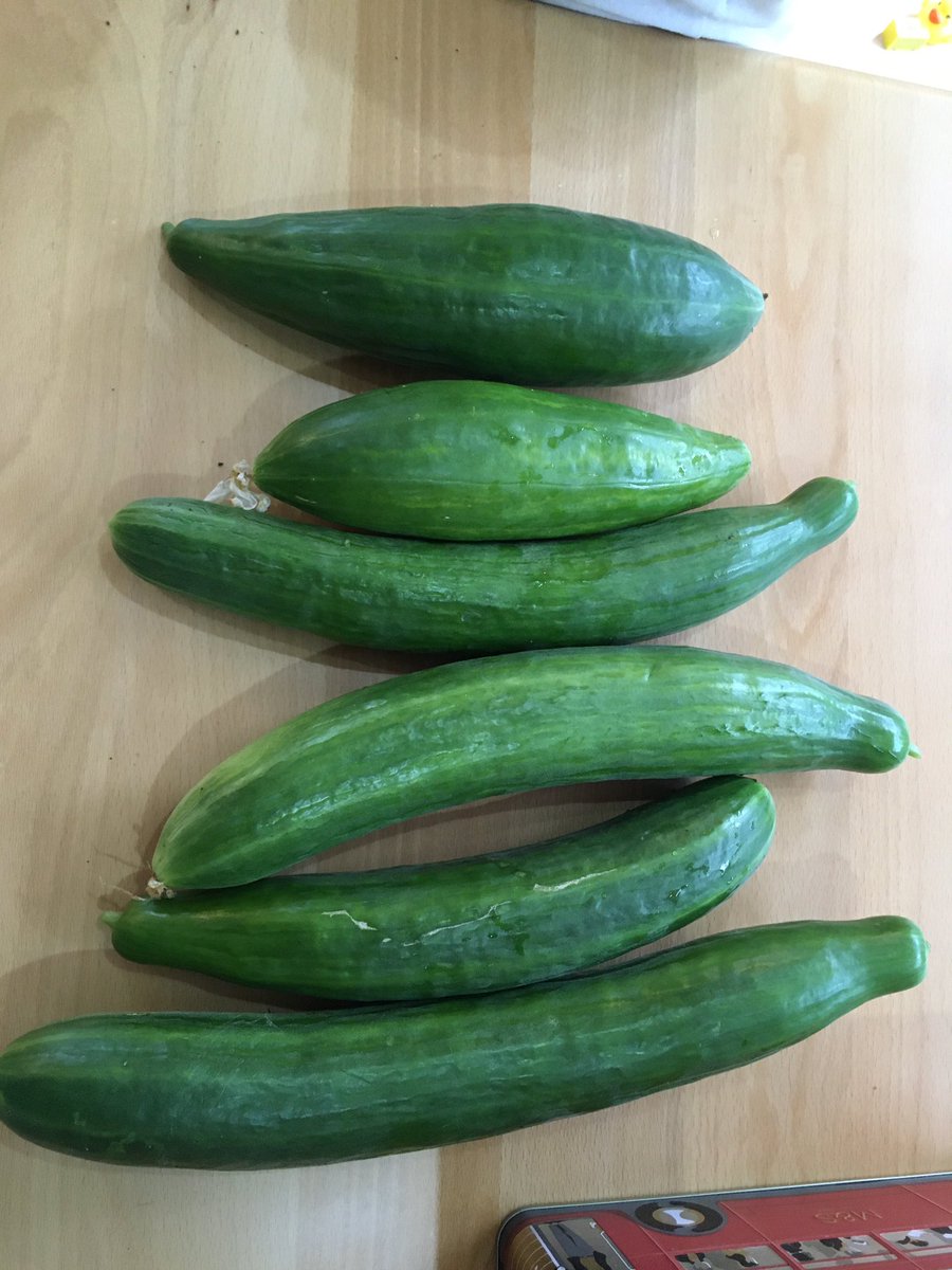 agulbranson's tweet photo. First harvest of cucumbers - and someone to eat them βΊοΈ #growyourown #zeroairmiles https://t.co/nBu8NWbtXo