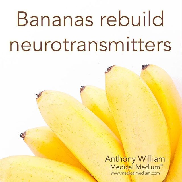 144Health's tweet photo. Bananas rebuild neurotransmitters.

#bananas #medicalmedium #nutrition #neurotransmitters #brainfuel #brainfood #brainsnack # healthyfood #eggplant #chronicillness #glucose #globalhealth #healthy #chronicpain #healthylifestyle https://t.co/2SrzZL5KAa