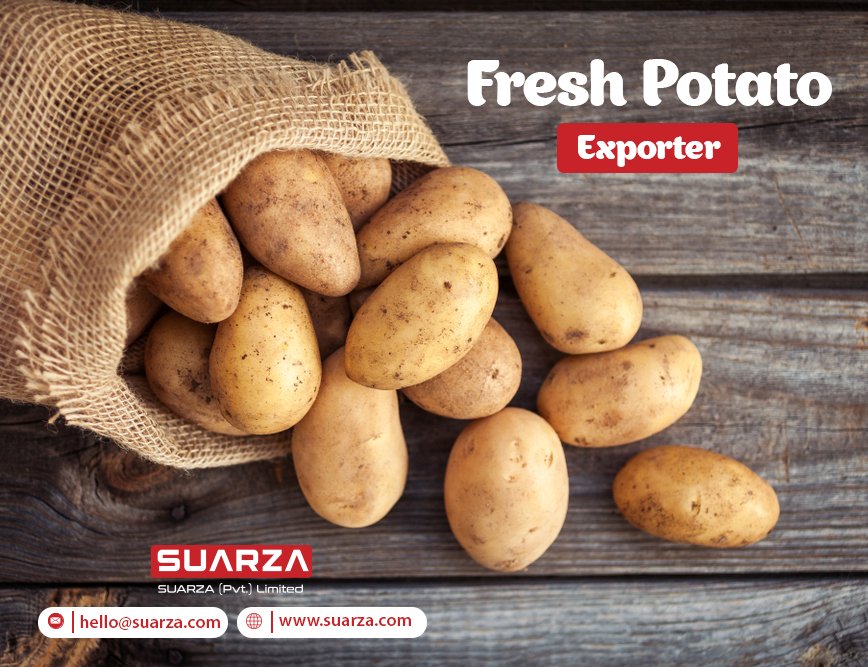 suarzagroup's tweet photo. Suarza Group Premium Quality Fresh Potato Export
All packings available 
Best competitive prices
Shipping all over the world 
Whatsapp: +923356955999
#suarzagroup #exporterfrompakistan #fruitsexporter #vegetableexporter #suarza #exporter #freshvegetable #potatoes #potatoexport https://t.co/lLkPFHbK3G