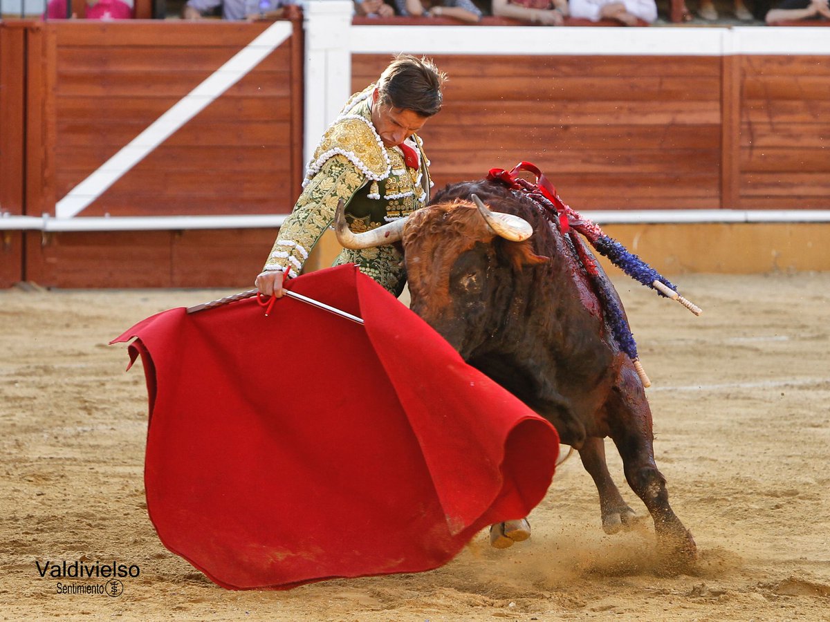 burladerotv's tweet photo. FESTEJOS.- SORIA.- Oreja para Urdiales en el cuarto @tauroemocion @TorosSoria #RomanSorando @urdialesweb @EmiliodeJusto @juanortegapr @AlbertoGBuj #AitorVian @SentimientoTaur   https://t.co/Lb0g4wkfoV https://t.co/0cb1lPizZH