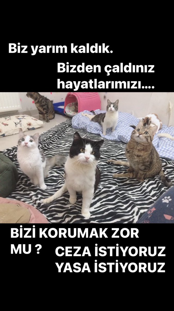 #HAYVANHAKLARIYASASI