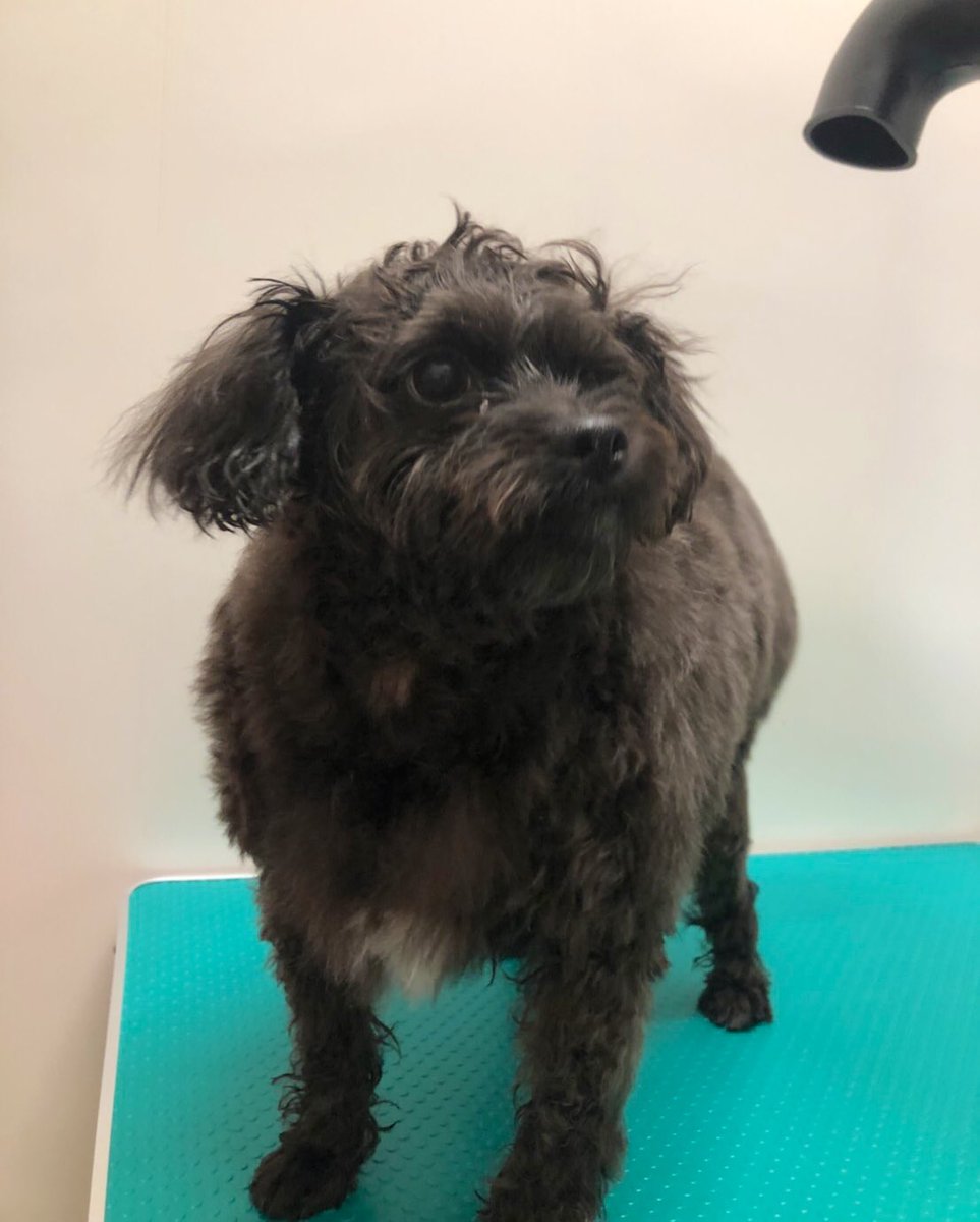 貸切 Twitter Search