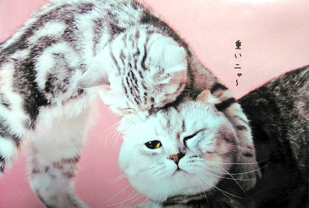 ジョージ ワシントン アメリカ 政治家