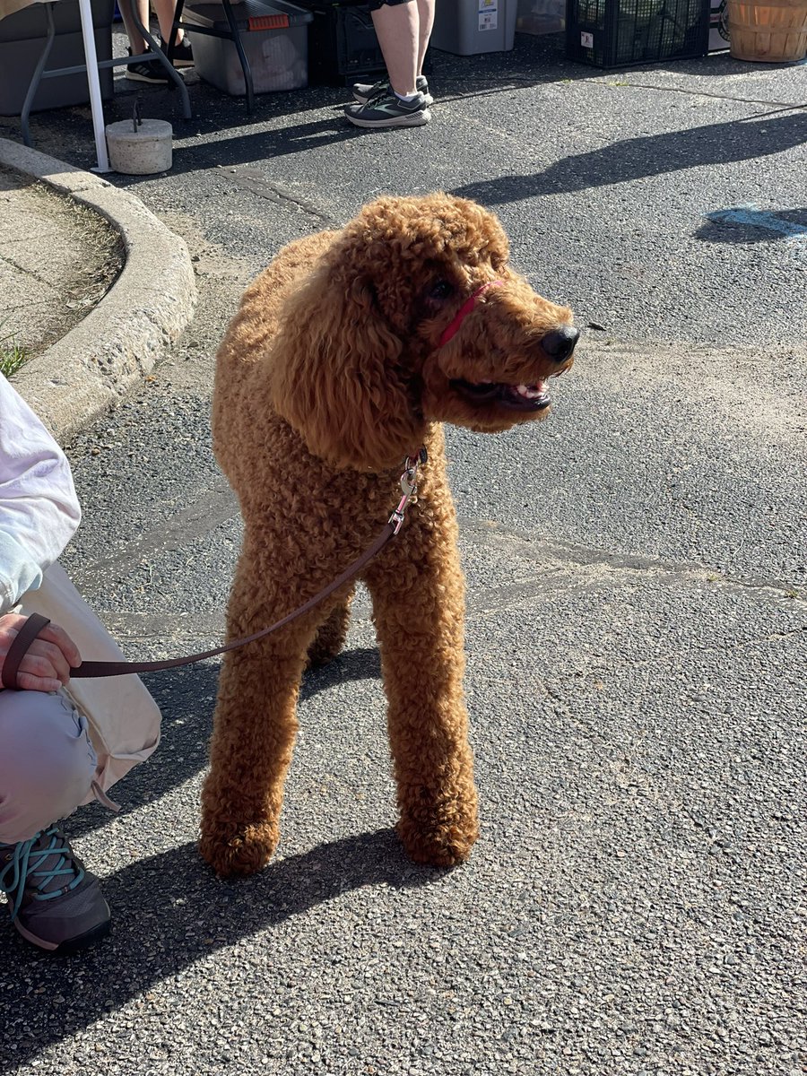 Marshall’s Farmers Market. delivering service straight to them showing how we love our customers!