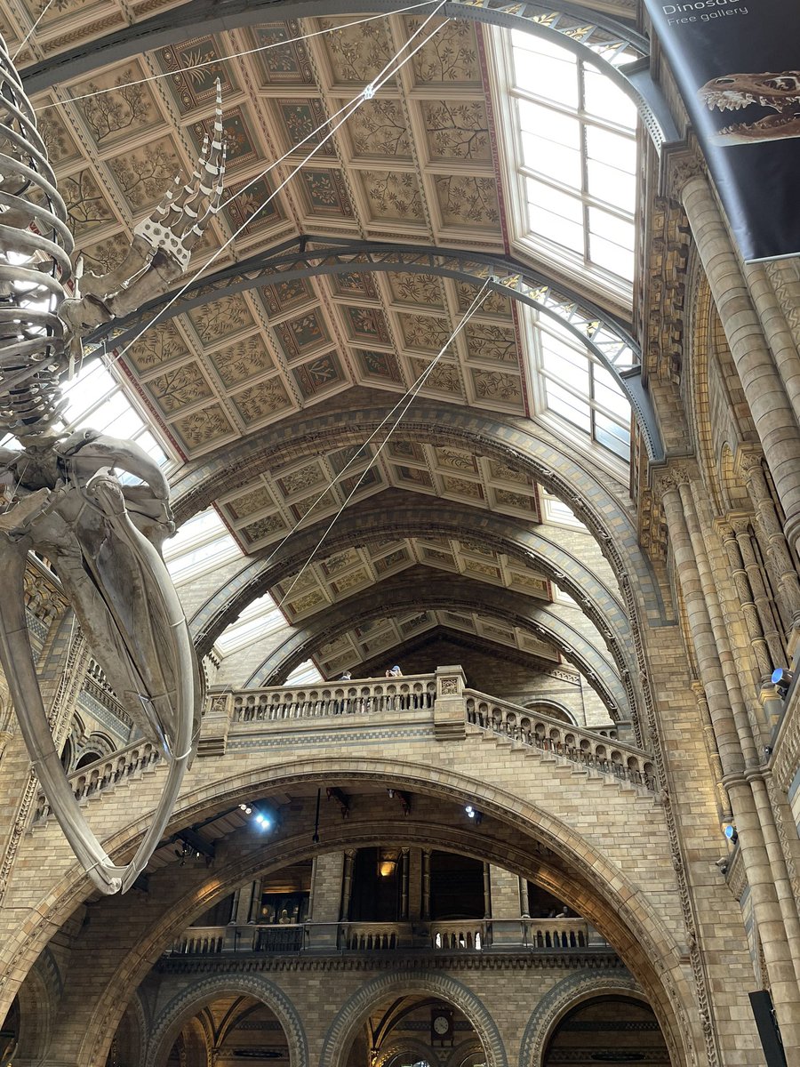 hmosama's tweet photo. Beautiful #architecture of #Natural #History #Museum,  #London https://t.co/kEj2uX05jl