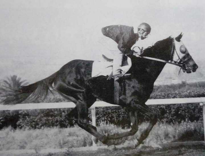 HORSERACING1002's tweet photo. CACHAVA 1963
(RULERSHIP - TEHUANA POR GOLDLEIGH)
Campeona dosañera y tresañera st a kes jockey club mexicano , Gran premio nacional, derby mexicano , triple coronada, con record 28 salidas 11 Ganadas 6 segundos 3 terceros , #Cachaba @hipodromomex https://t.co/mlY7ebvC41