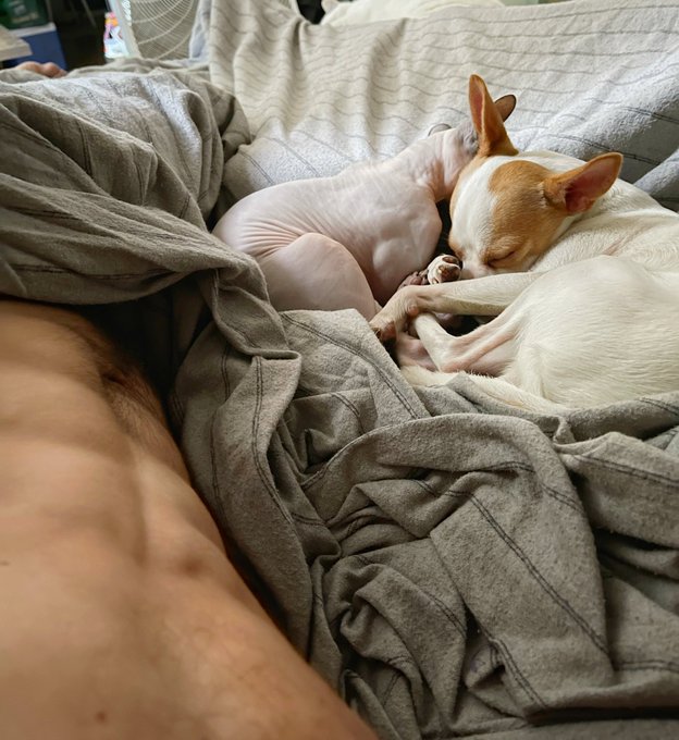 Cuddles🥰 Good morning !! https://t.co/k1yVeRfret