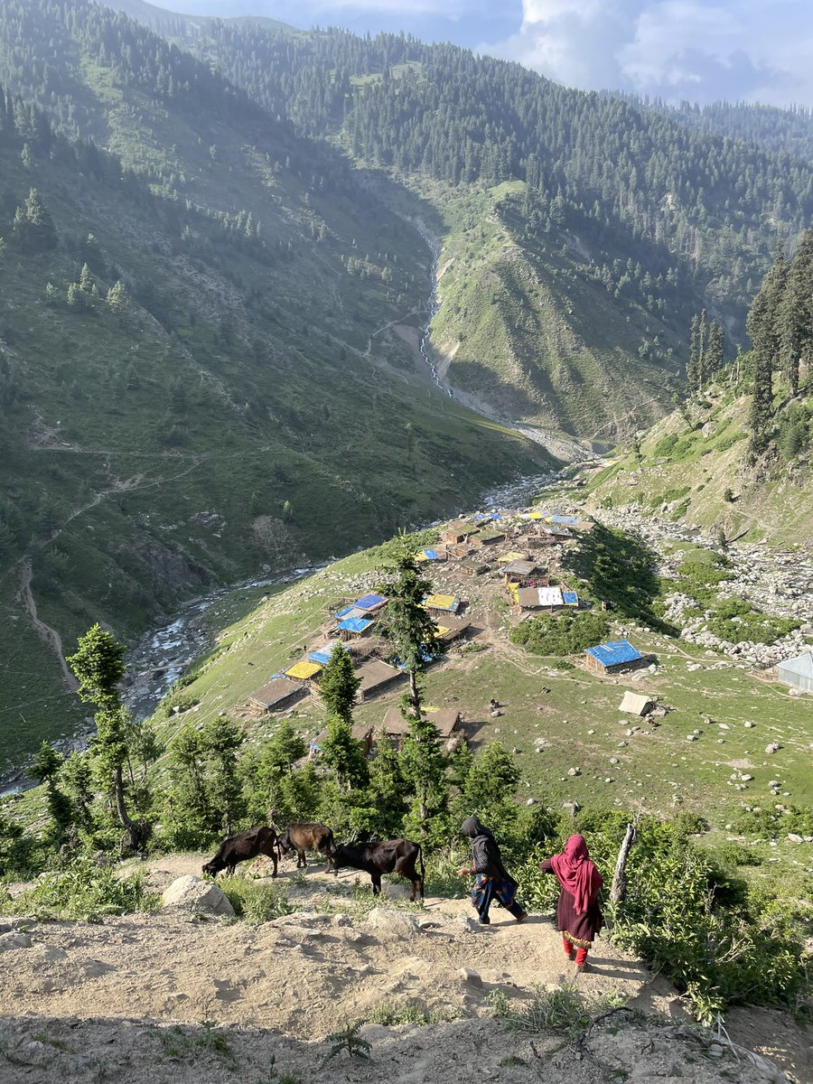 listenshahid's tweet photo. Transhumance: met some tribal families in frontier #Kupwara highlands to obtain feedback about ongoing support planning and their suggestions https://t.co/2qNpcrxXRh