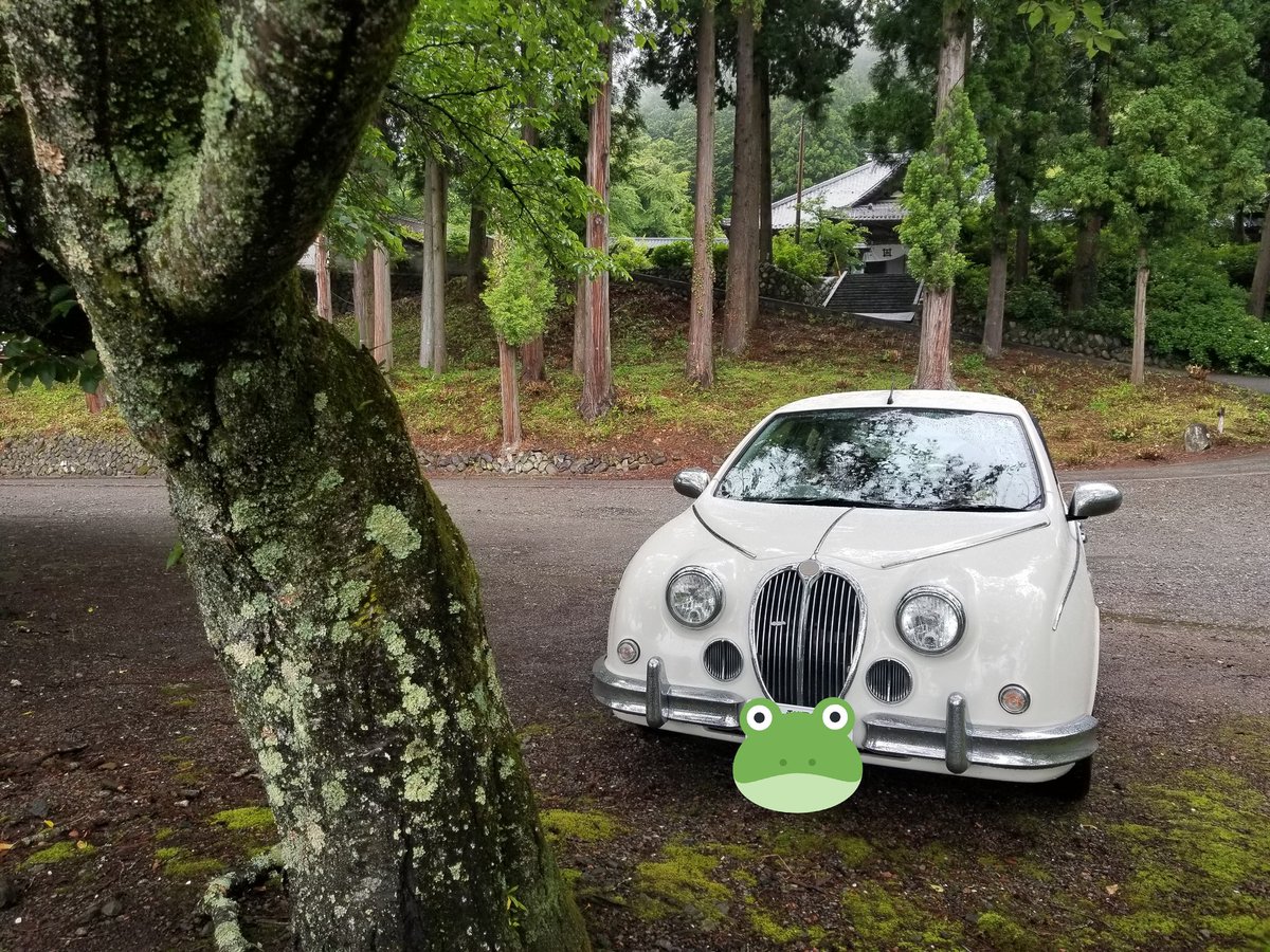 ねこぜ 納車して約3ヶ月 約1万キロ 1年で4万キロくらい 中古で前オーナーの走行距離があるからあっという間に10万キロ 普通 車のエンジンって大体どのくらい持つんだろー 車代の支払い完済とエンジンさよなら どちらが先かレース 開幕 光岡自動車 ねこぜ 納車して約3ヶ月 約1万キロ 1年で4万キロくらい 中古で前オーナーの走行距離があるからあっという間に10万キロ 普通 車のエンジンって大体どのくらい持つんだろー 車代の支払い完済とエンジンさよなら どちらが先かレース 開幕 光岡自動車