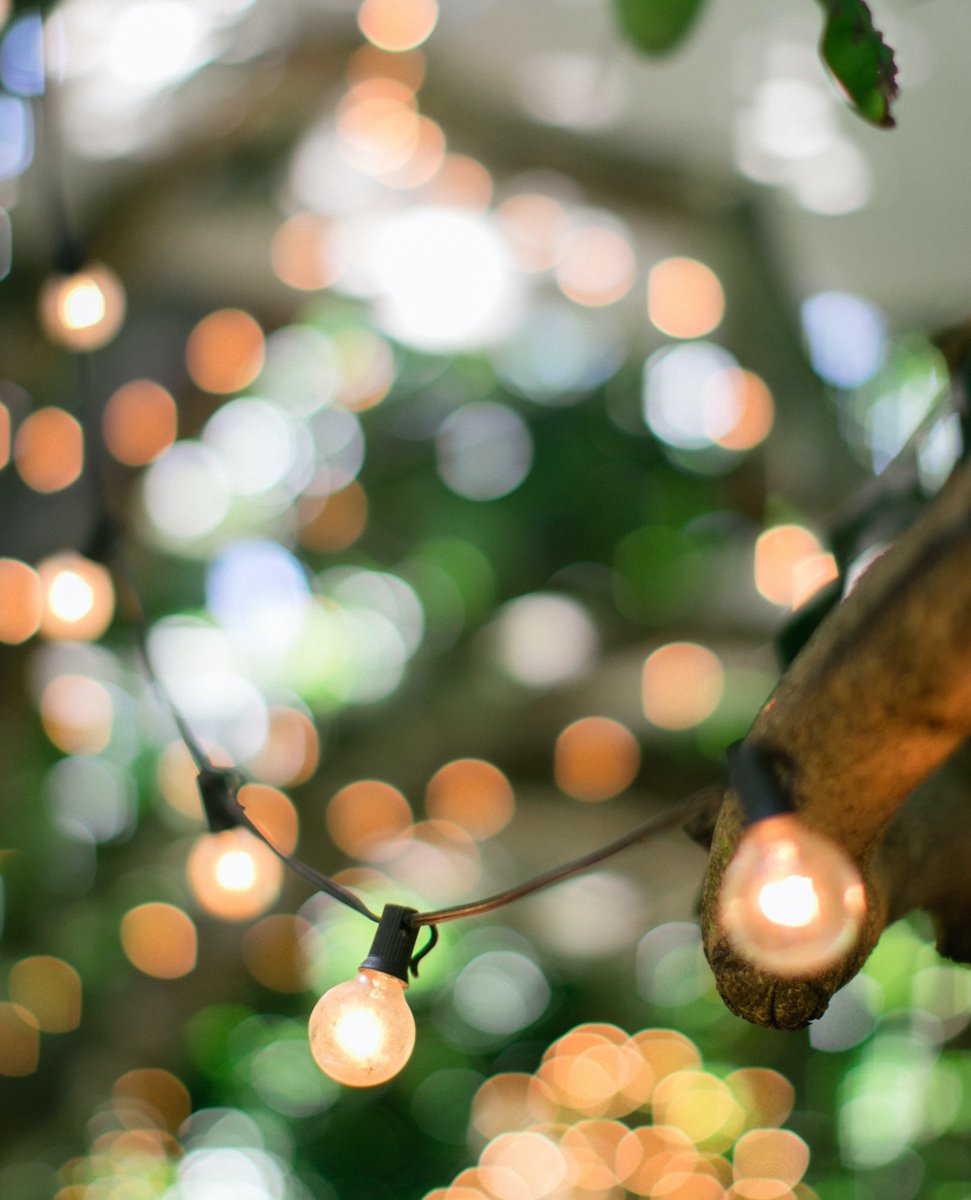 🎶 Those patio lanterns They were the stars in the sky Those patio lanterns Lighting up our lives 🎶 Soak up all those patio vibes this weekend. #thewordofmouth #yegcaterer #yegsmallbusiness