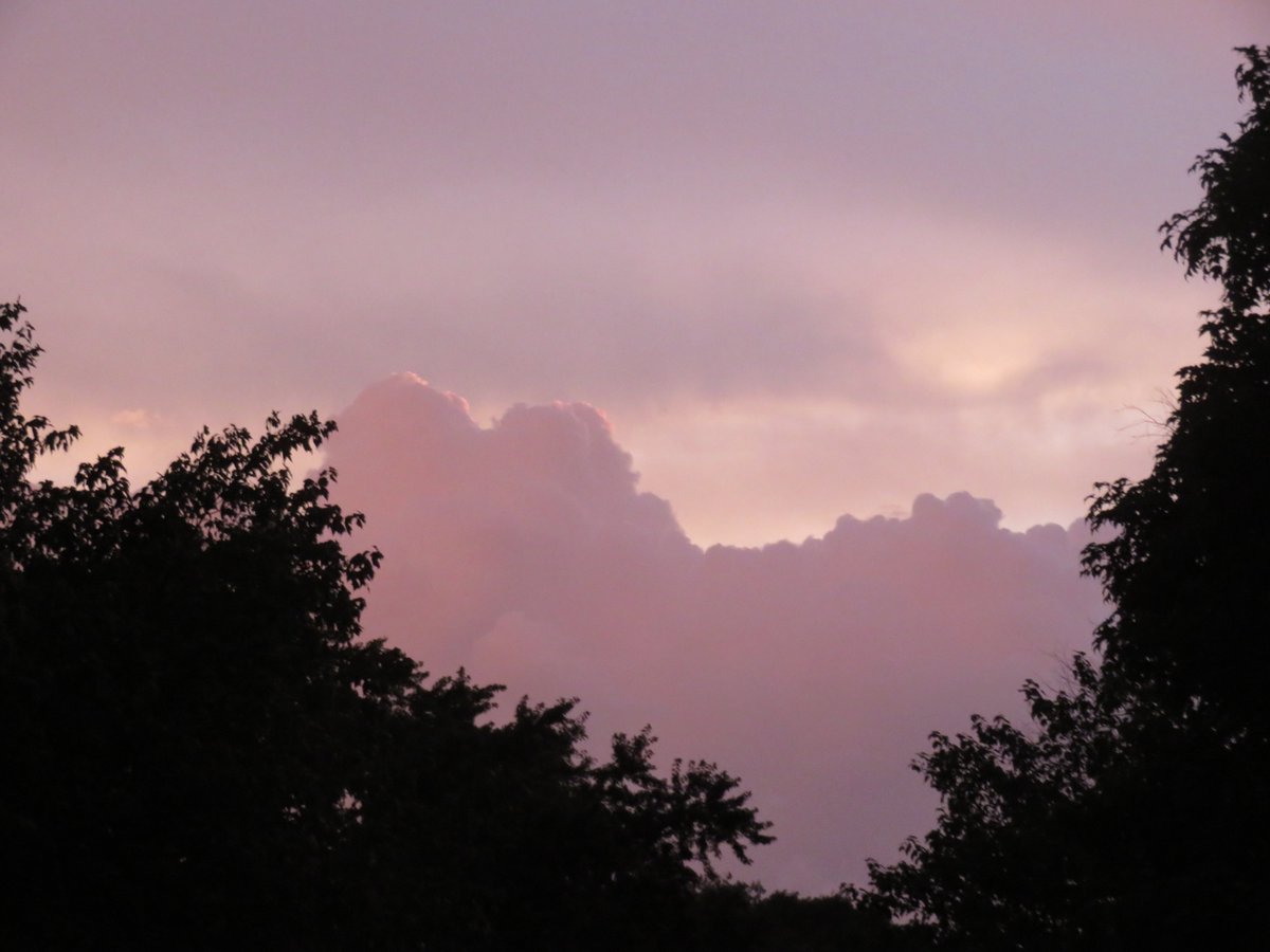 PLKlein_Author's tweet photo. "May you walk gently through the world and know its beauty all the days of your life." ~ #ApacheBlessing #ThinkBIGSundayWithMarsha #ThinkingOutLoud #QuickQuotes #SaturdayMotivation #WalkGently #Beauty #World #TheDaysOfYourLife https://t.co/k76xlWE3bv