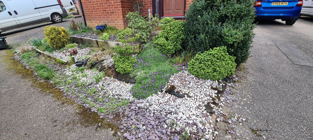 ProjectLandsca3's tweet image. Front garden tidy up in Thurston.
New steps and rendered beds ready for planting.

#plants #render #raisedbeds #steps