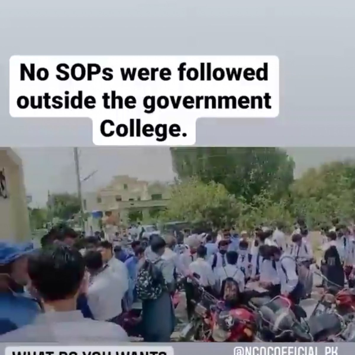 Shiza010's tweet photo. @Shafqat_Mahmood Some more SoPs cheeku🥰 Have a look🥱 https://t.co/vHuY3HHRta