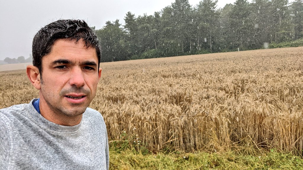 d_forge's tweet image. La moisson 2021 en France