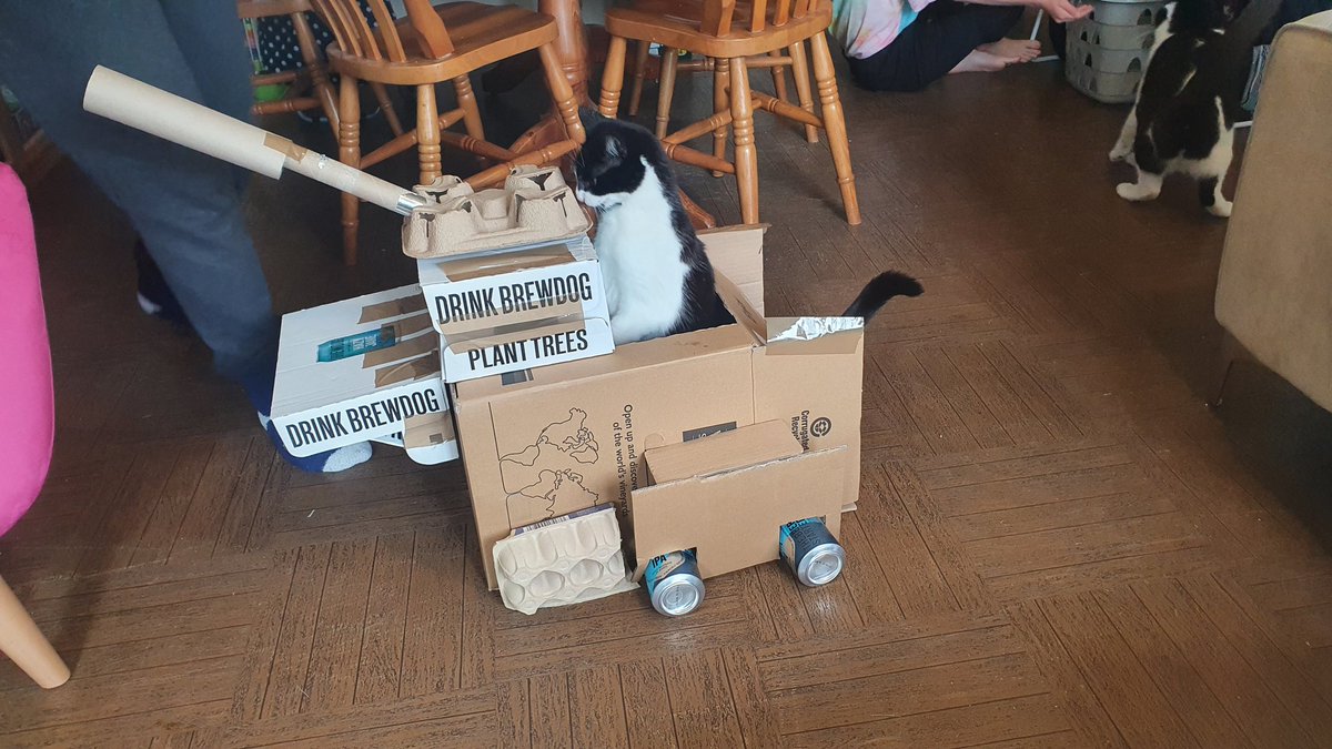 James Birnie (@runningchairjb) on Twitter photo The girls are bored self isolating so we built a #brewdog inspired cat tank. The girls are bored self isolating so we built a #brewdog inspired cat tank.