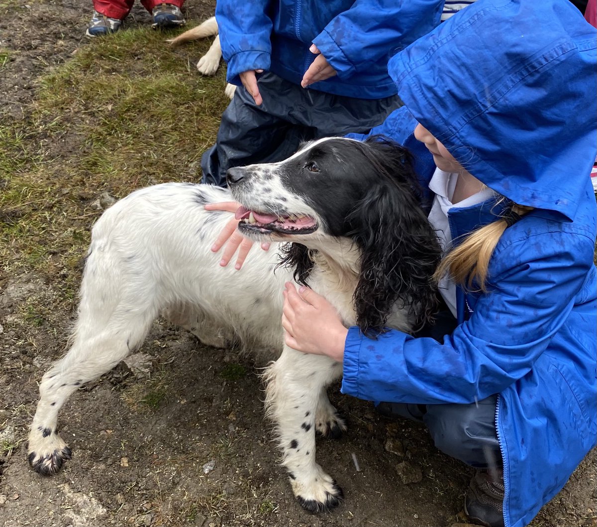 hackforthschool's tweet image. A wonderful day out, learning about our local moors: despite the weather 😀 Yorkshire Dales Moorland Group @MountainResqUK