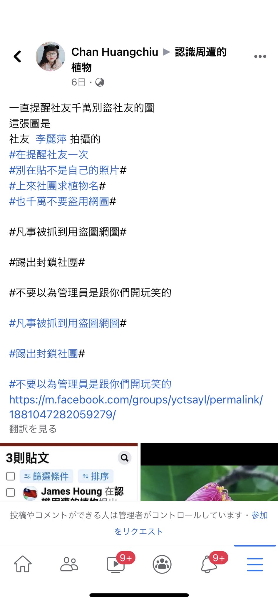 ちらいむ Sur Twitter これは沖縄などの暑い地域に咲く ゴバンノアシ という花の開花しかけの蕾ですね チベットの環境には適さない南国の植物です そもそも400年ごとに咲く花など 実も400年ごとにしかつけられないことになるわけで まあ珍しいものと言って人を