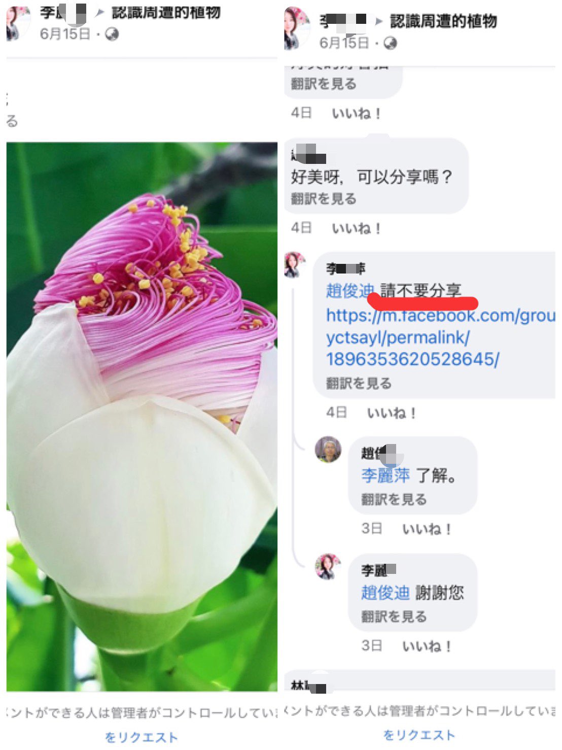 ちらいむ Sur Twitter これは沖縄などの暑い地域に咲く ゴバンノアシ という花の開花しかけの蕾ですね チベットの環境には適さない南国の植物です そもそも400年ごとに咲く花など 実も400年ごとにしかつけられないことになるわけで まあ珍しいものと言って人を