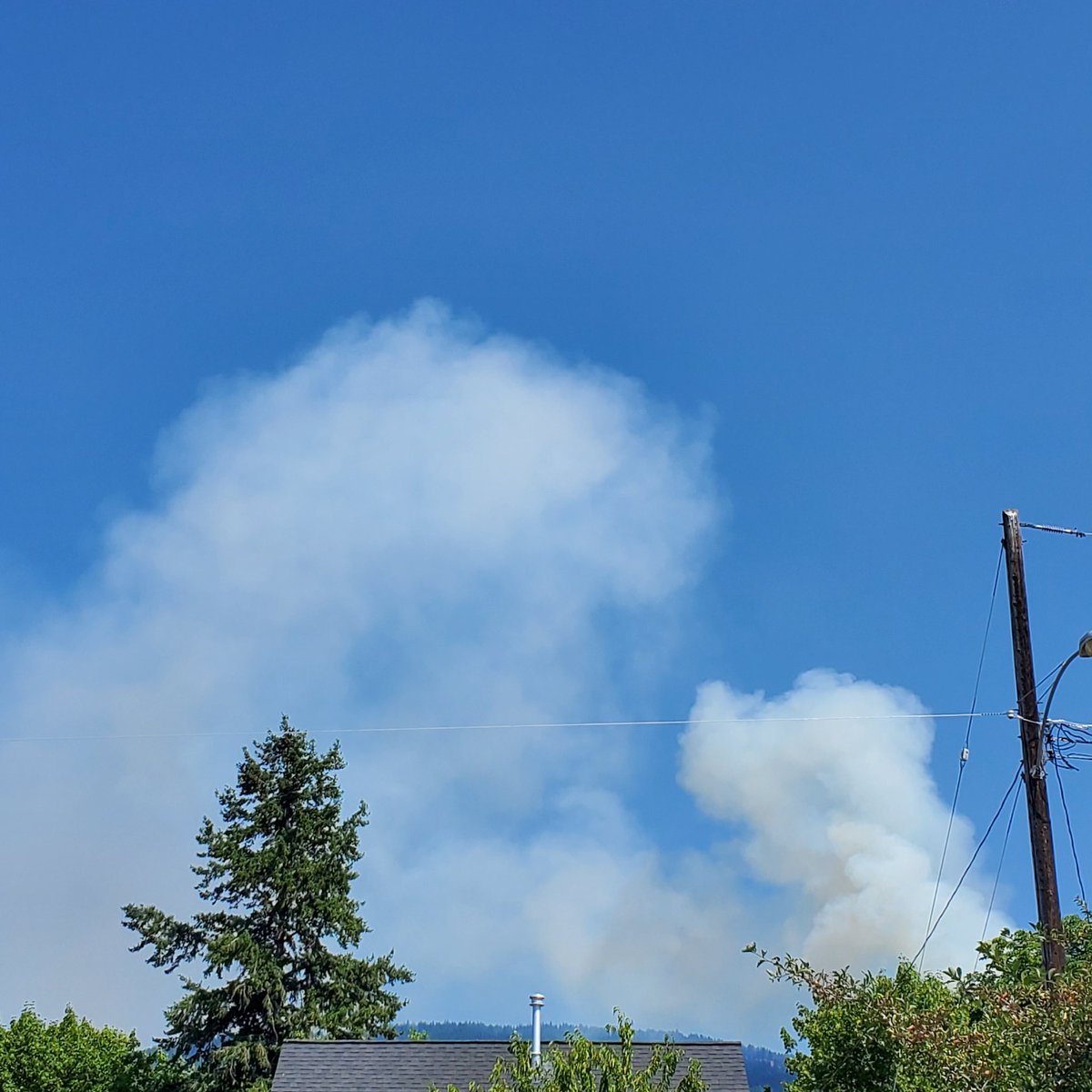 megloops's tweet photo. 1st photo at 1:37 pm July 10th
2nd photo at 2:47 pm
#BeckerLake #BCWildfire
#VernonBC #Coldstream
Many thanks to @BCGovFireInfo Wildfire Fighters for quick action.
Stay safe 🙏 https://t.co/PMrWeOv3UN