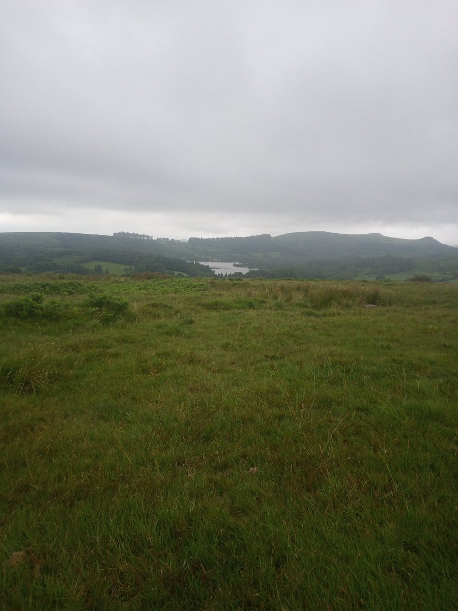 reid_nacho's tweet photo. Beautiful walk up #meavy and #burrator tonight..so tranquil and gorgeous views..Nachos so glad we live near #dartmoor @DartmoorDevon β₯οΈπΎβ₯οΈ https://t.co/KIrmt5gLe7