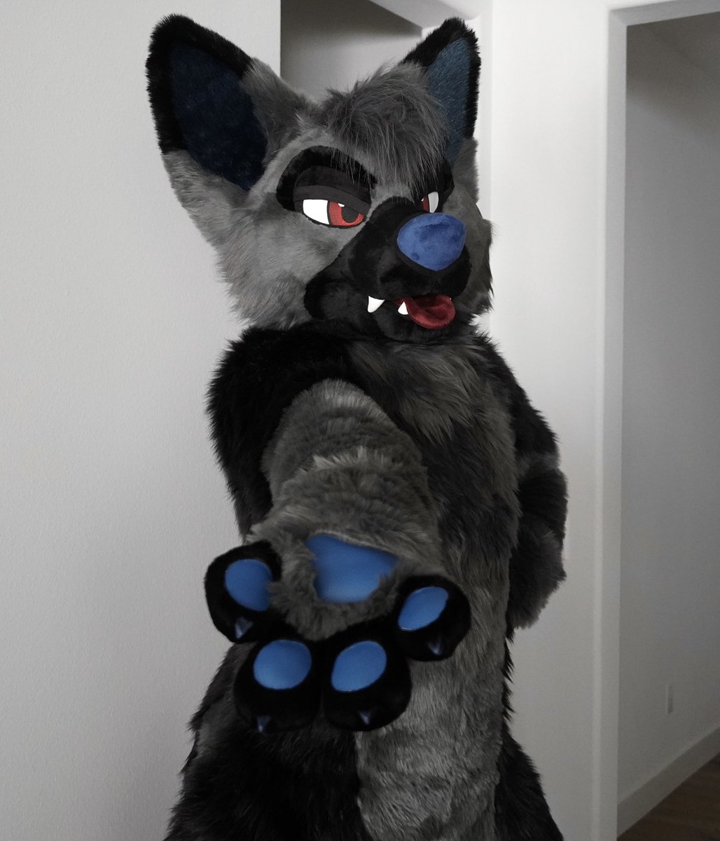 RookaRoo tweet media