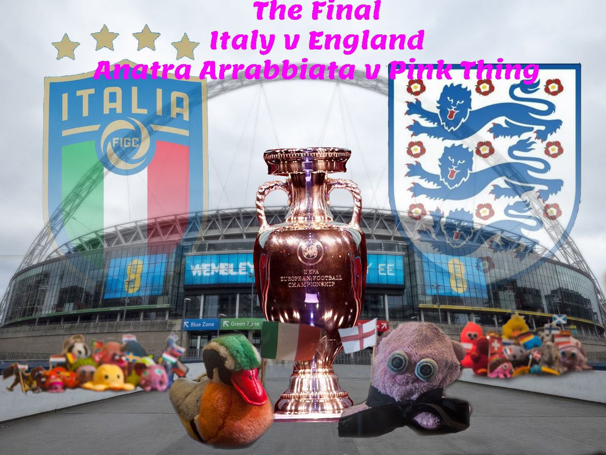 PinkThingPT's tweet image. I can’t lie I is excited! So is that duck 🤣 #EURO2020