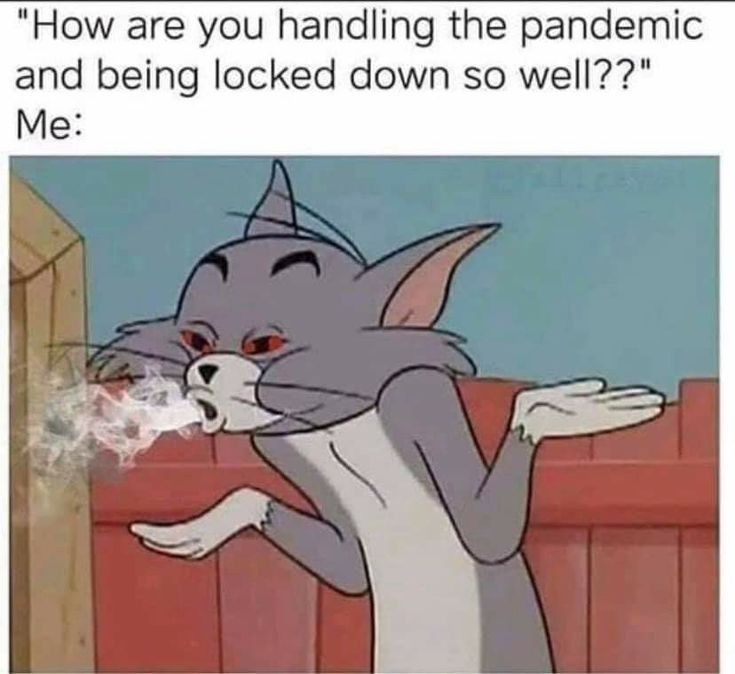 GetYourWaxOn's tweet photo. We just took it one hit at a time 😎
#highlife #stonermemes https://t.co/UpylVljOgt