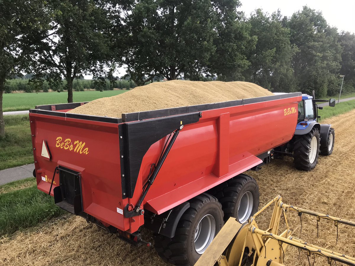 Eerste wintergerst aan de kant, korrels genoeg maar HL gewicht te laag#wintergerst