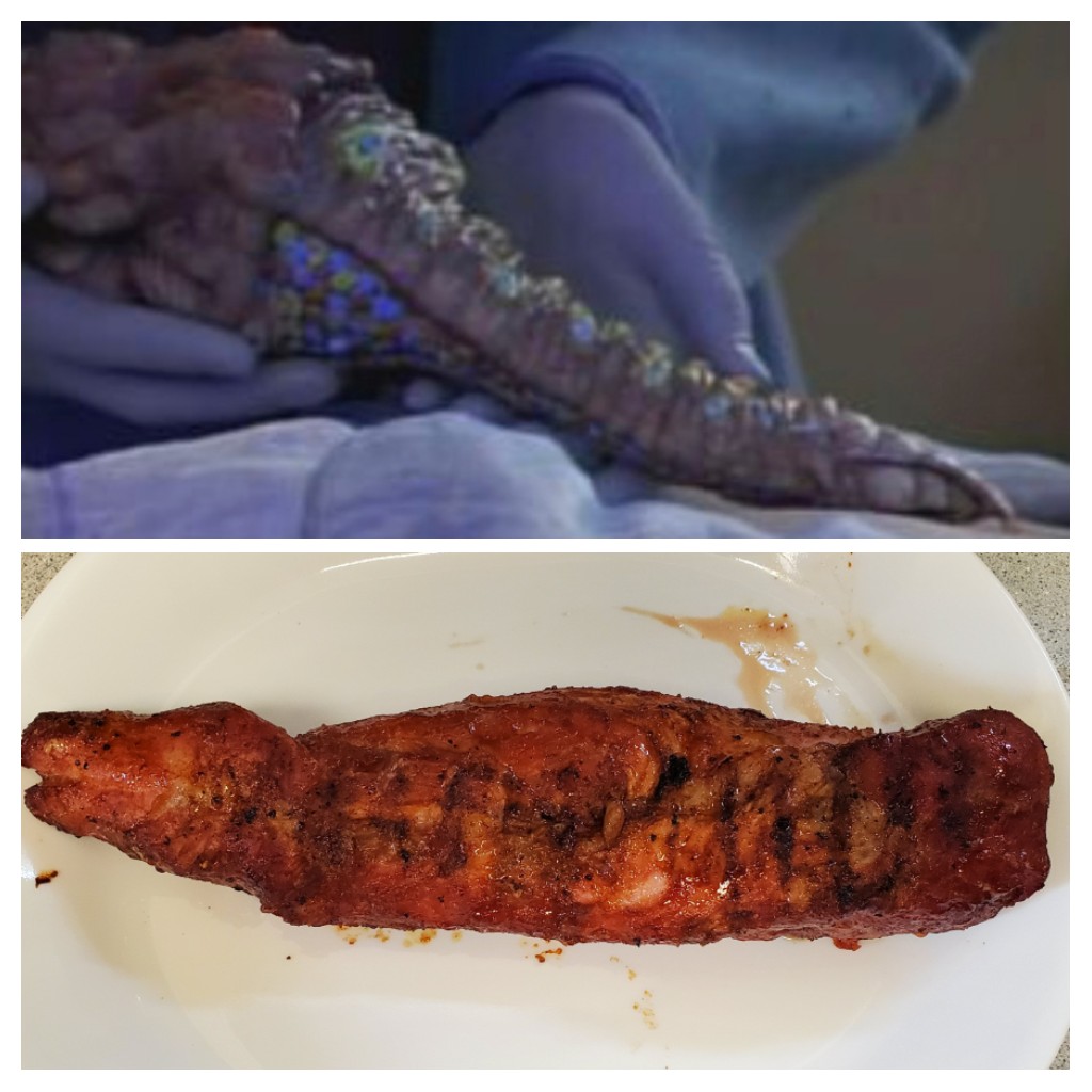 CaptainArkansas's tweet photo. Who wore it best? Trill symbiont or pork tenderloin? https://t.co/O1yCpHIRXU