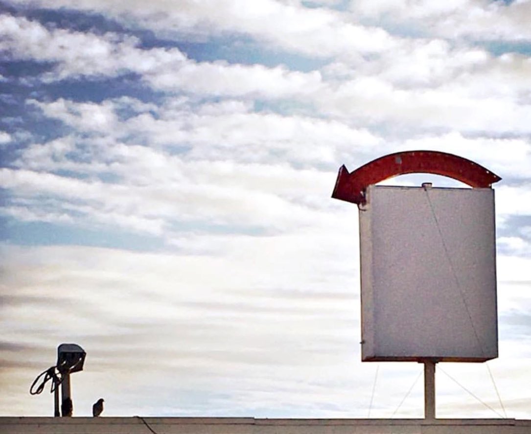 …the #arrow points to a small  #robot who is  #amazed by a #pigeon …📷 me