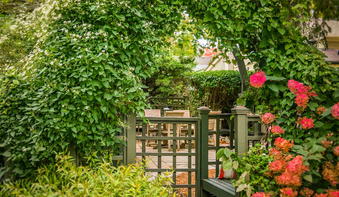 Jillybean8D's tweet photo. 5 Ways to Create a Private Outdoor Living Area https://t.co/1vxR0VFTeF https://t.co/gkwLWvQj8J