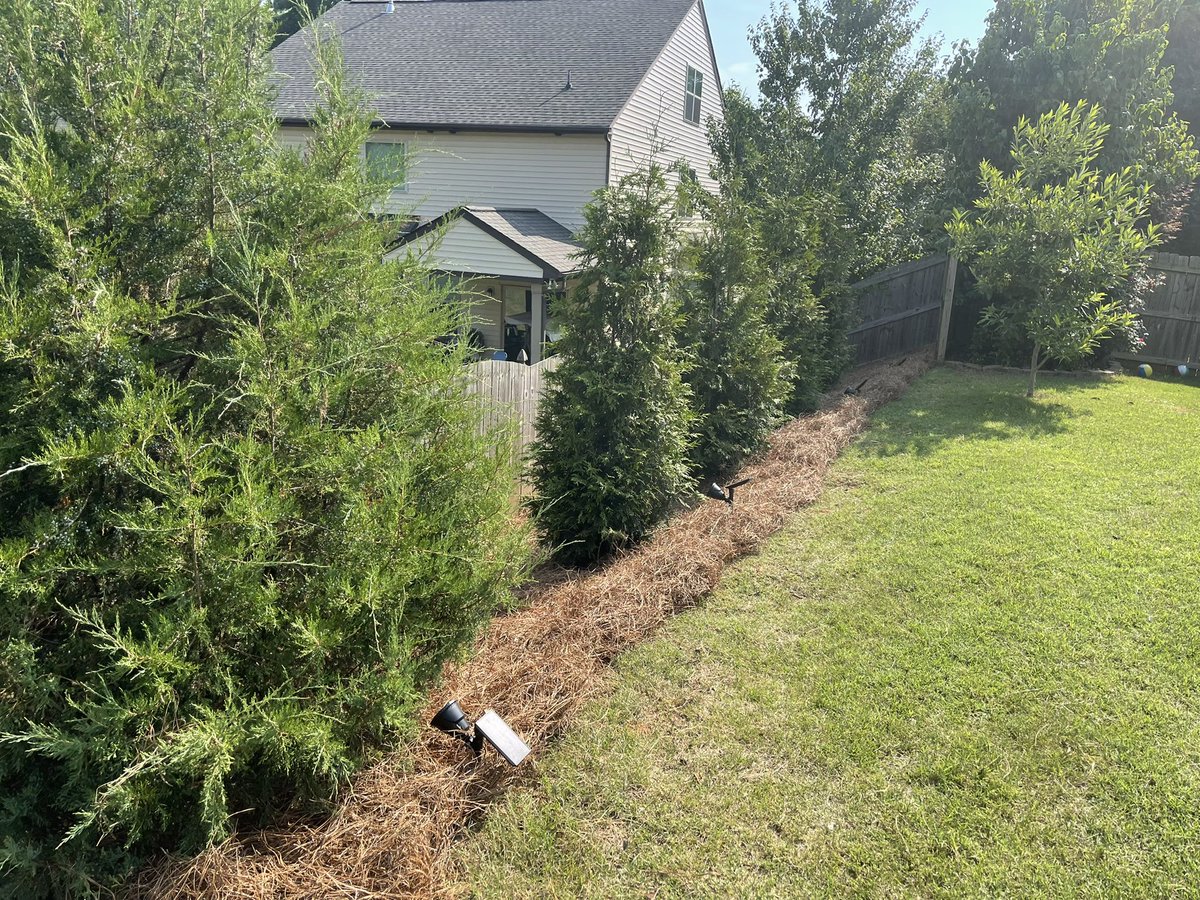 TheCuretonGroup's tweet photo. Check out our work...

We’re one of  #Charlotte’s best landscape companies! 

Contact us today for a free quote! 

🌼🌸🌺
https://t.co/tjcdcS8Y55 #CLT https://t.co/CqCOxh6YzN