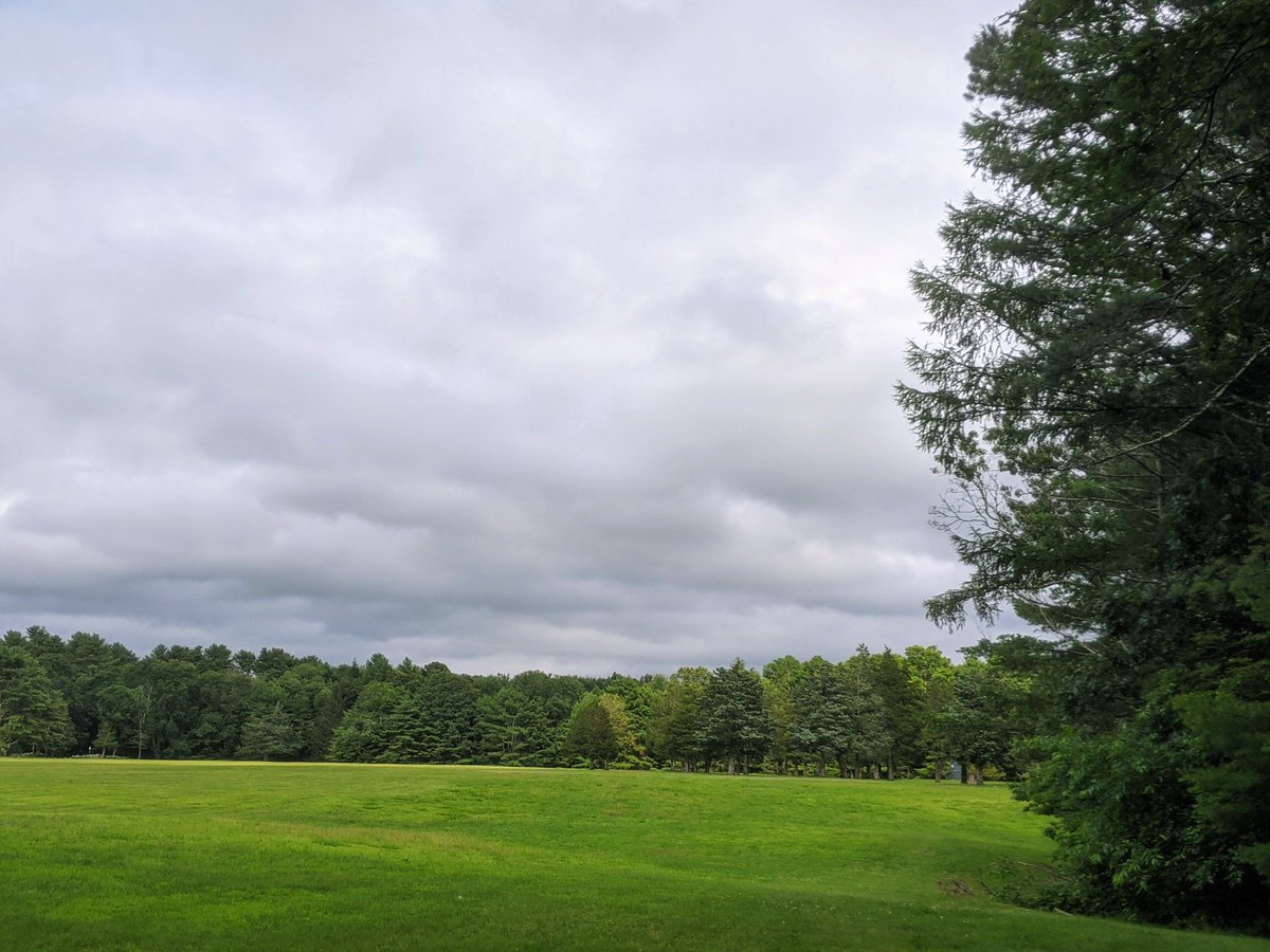 🌲🐻 The sun is back! ☀️