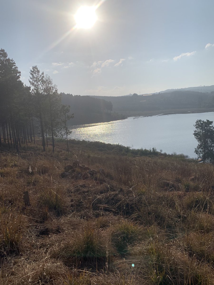 tito_mboweni's tweet image. In the midst of all the difficulties we face:COVID-19 variants,political tensions,uncertainties,anxieties and economic hardships,Limpopo still offers a place for calm reflections. Stanford Lake chalets &amp;amp; environment. ⁦⁦@golimpopo⁩ .⁦@Tourism_gov_za⁩. Makgobaskloof