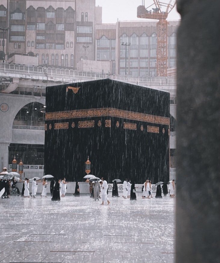 dsk6666dsk66's tweet photo. ㅤ

          الله أكبر الله أكبر الله أكبر
                 لا إله إلا الله
             الله أكبر الله أكبر
                 ولله الحمد 
 وَأَقْبَلَتْ العَشْرُ تَفُوحُ شَذَى وَرَيْحَانًا 
اللهُم عشرٌ طَهور ، تُطهر بها صحائفنا🌸 https://t.co/9G8s3YZ5Lm